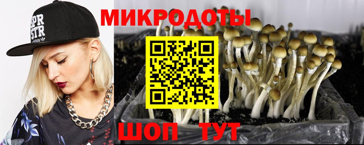 Псилоцибиновые грибы Magic Shrooms  Вход с VPN  Чита 