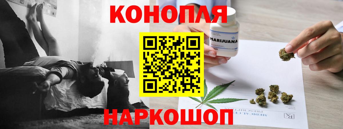 Каннабис OG Kush Чита